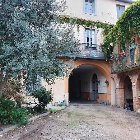 Apartament Un Petit Coin De France : A Cote De La Cite Medievale Carcassonne Zewnętrze zdjęcie