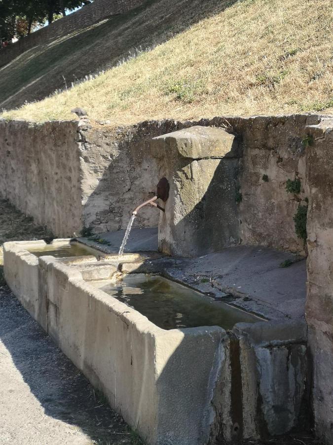 Apartament Un Petit Coin De France : A Cote De La Cite Medievale Carcassonne Zewnętrze zdjęcie