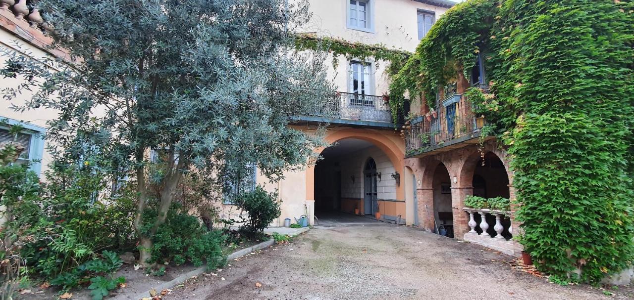 Apartament Un Petit Coin De France : A Cote De La Cite Medievale Carcassonne Zewnętrze zdjęcie