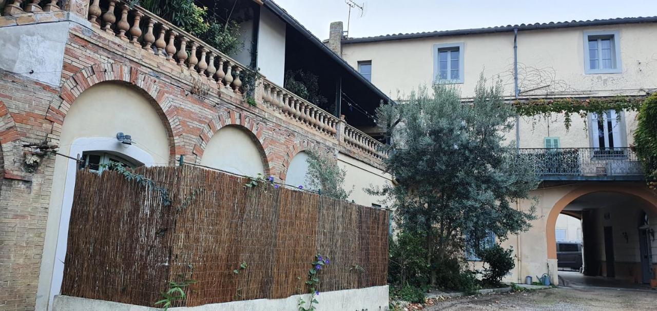 Apartament Un Petit Coin De France : A Cote De La Cite Medievale Carcassonne Zewnętrze zdjęcie